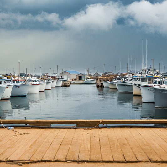 Dockside Dreams - on Fuji Crystal Archive paper, matte finish (print only)